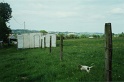 20010529 LE BOSQUET 38